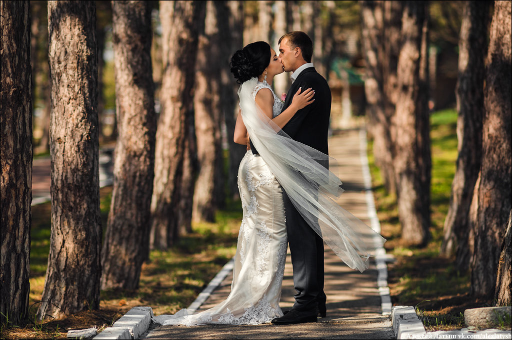 Свадьбы каждый день - Алексей Латыш