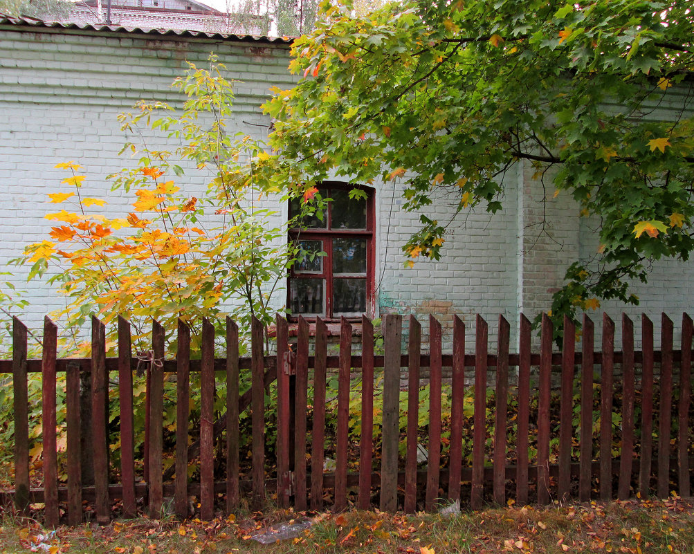 *** - Валентина Береснева