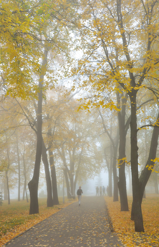 Туман в осеннем парке - Сергей Тагиров