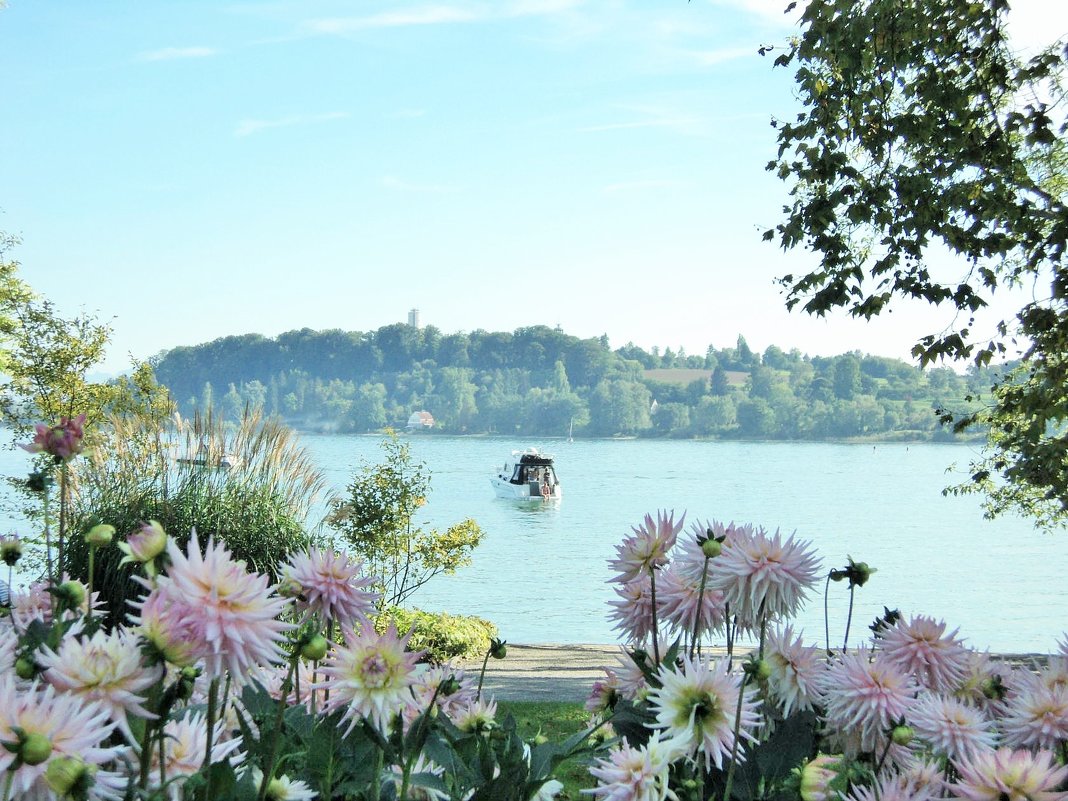 Insel Mainau Германия