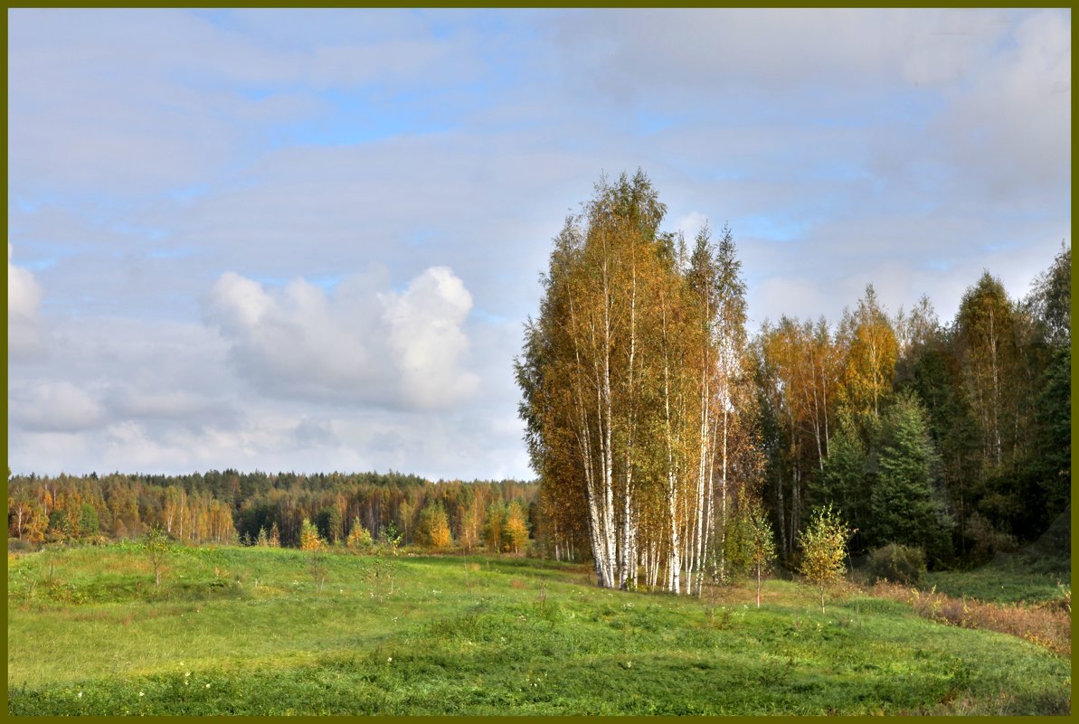 В поле. Петровское - Наталья 