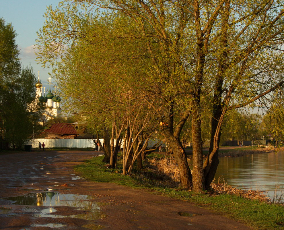 лужи в Ростове - Александра 