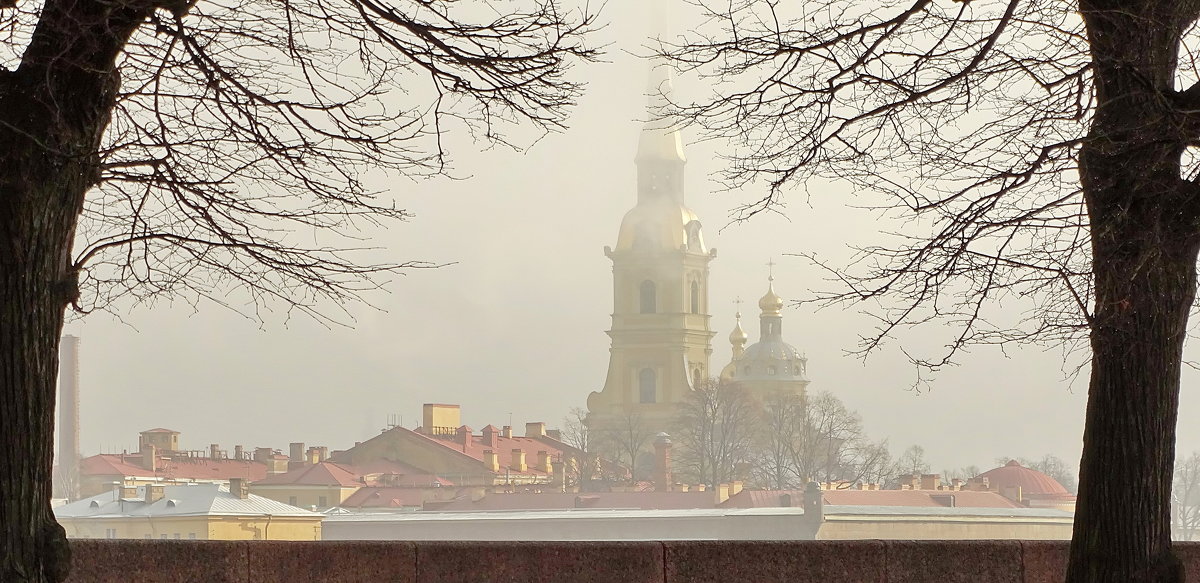 Стрелка Васильевского острова. - Владимир Гилясев