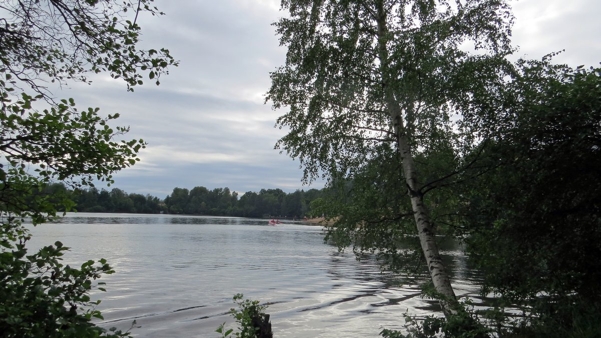 На озере - Вера Щукина