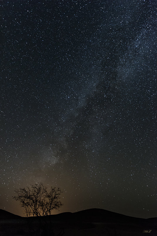 Negev Stars - Michael & Lydia Militinsky