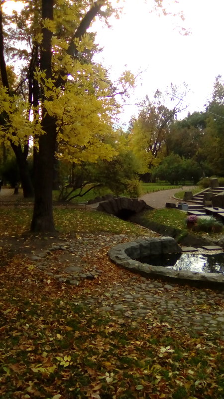 Осень в Александровском саду. (Санкт-Петербург) - Светлана Калмыкова