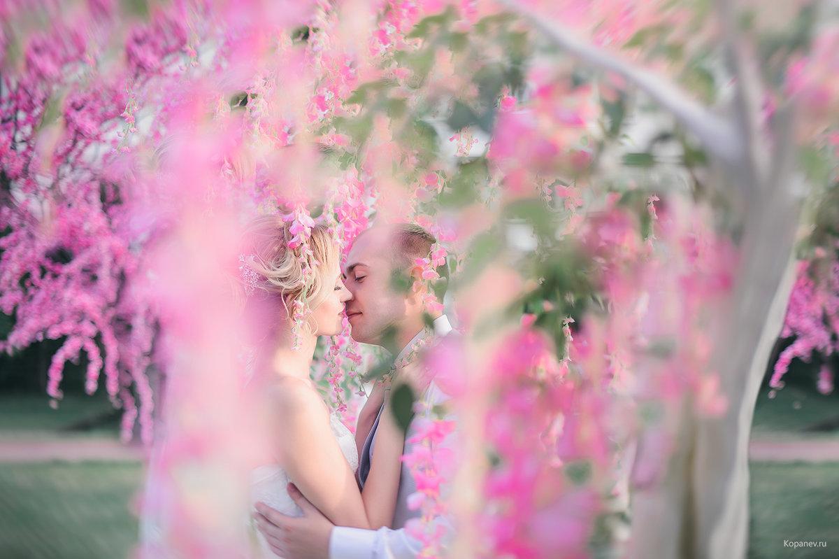 Wedding - Андрей Копанев