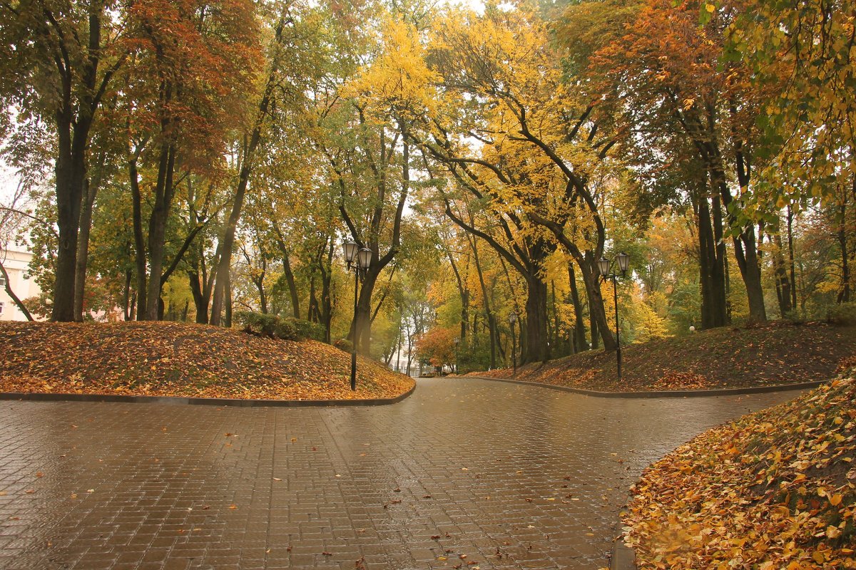 осень - Владимир Зырянов