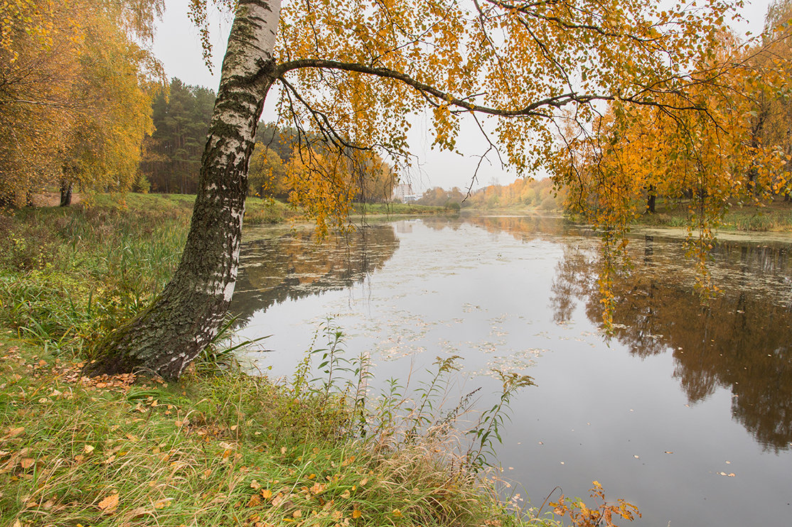 *** - Dmitriy Martynenko