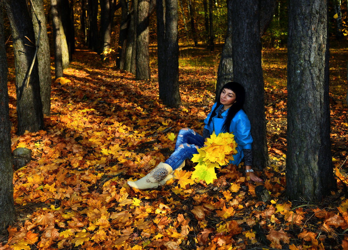осень в лесу - Василий Алехин