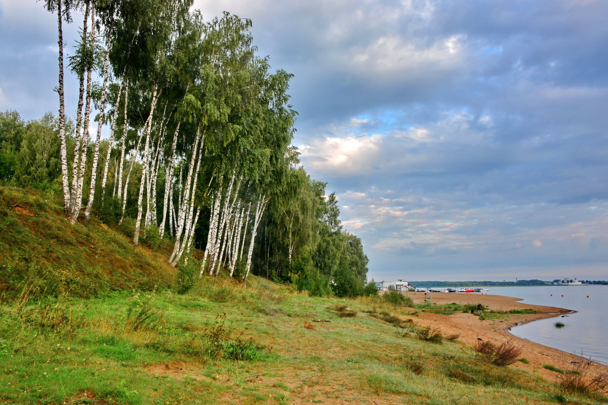 Волга лес Волжский