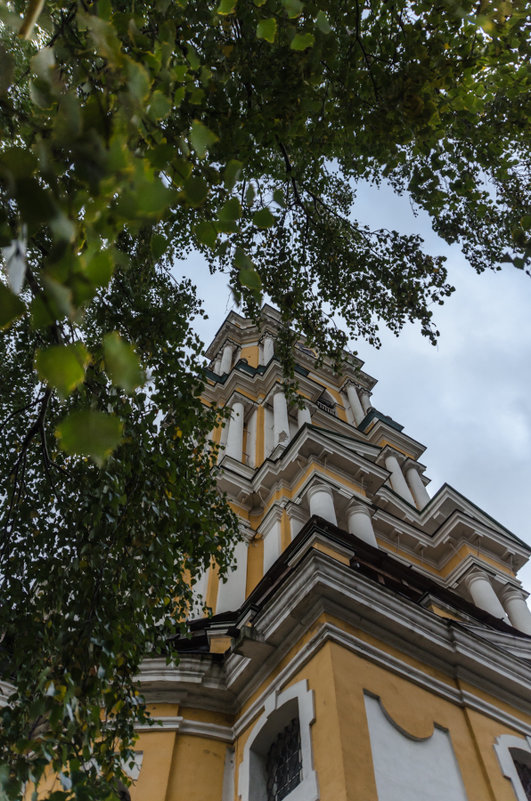 Новоспасский монастырь - Лариса *