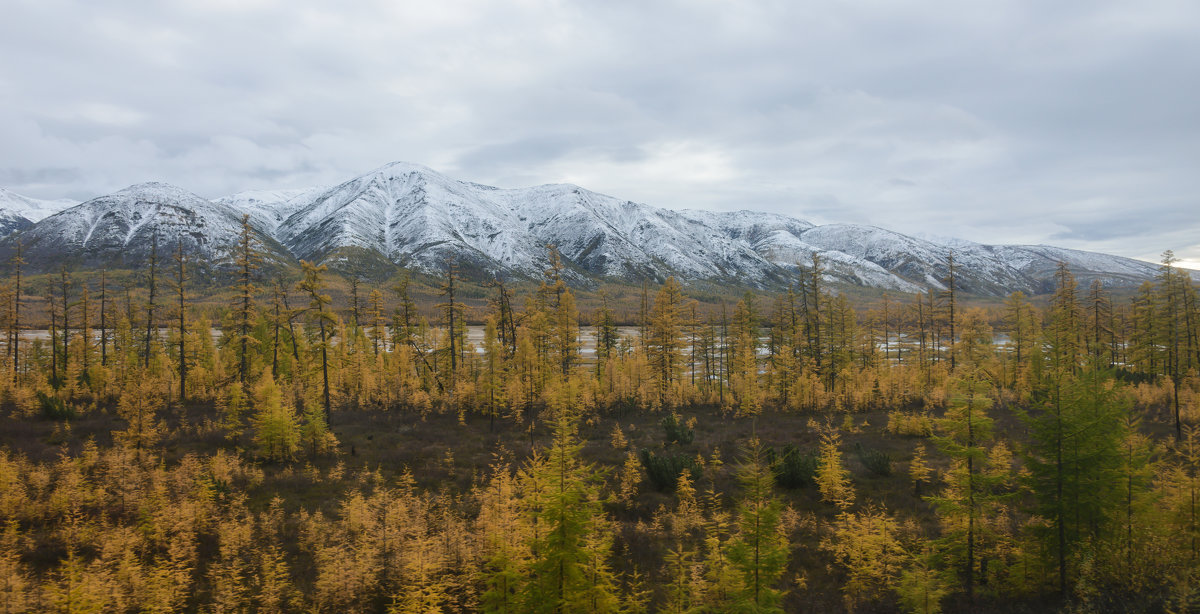 *** - Александр Хаецкий