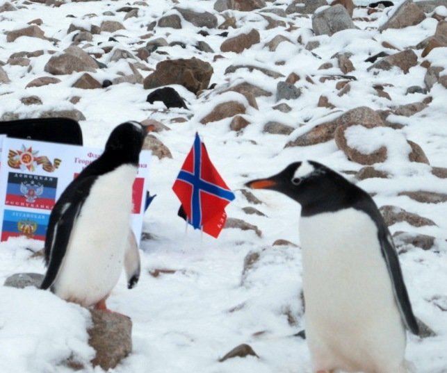 Флаг над Антарктидой - Мария Коледа