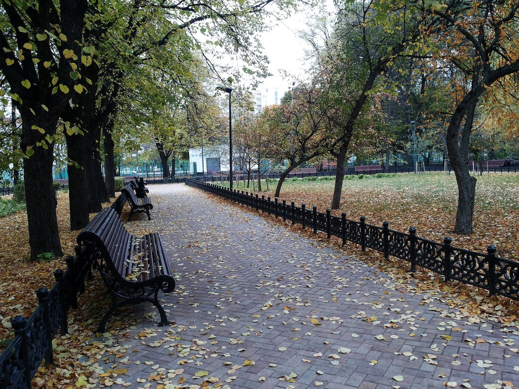 Осень в Московском парке - Владимир Прокофьев