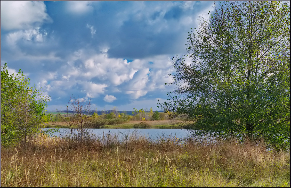 *** - Александр Лихачёв