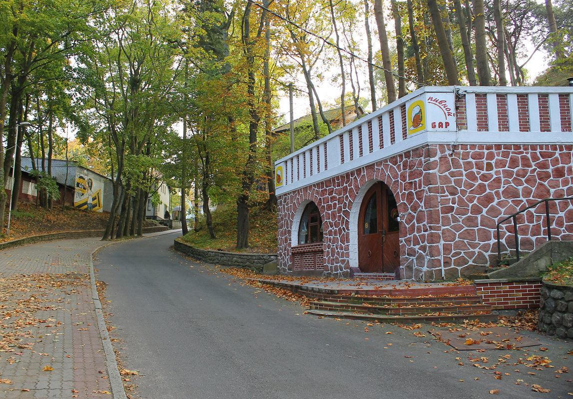 Осень в Светлогорске - Elena N