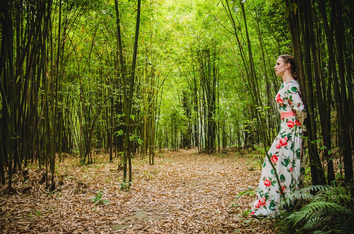Фотосессия в бамбуковом лесу - Pavel Shardyko
