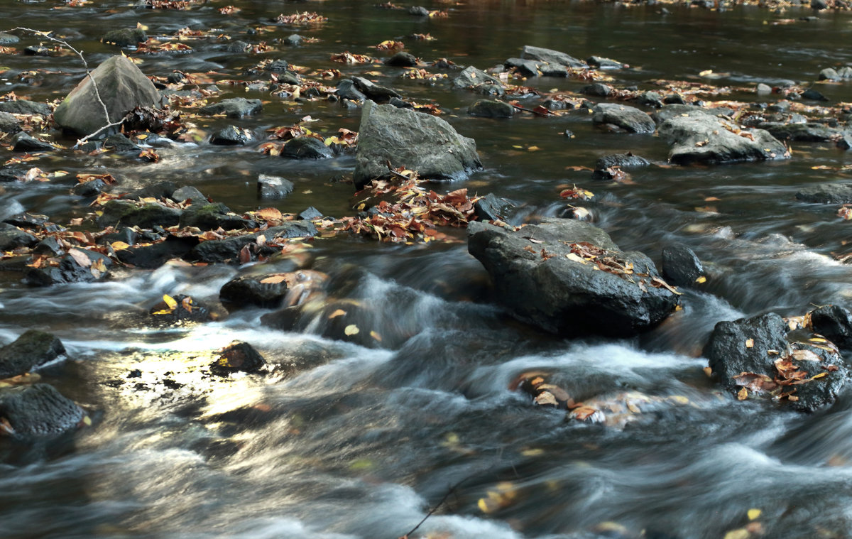 Камни,листья,вода - Leha F