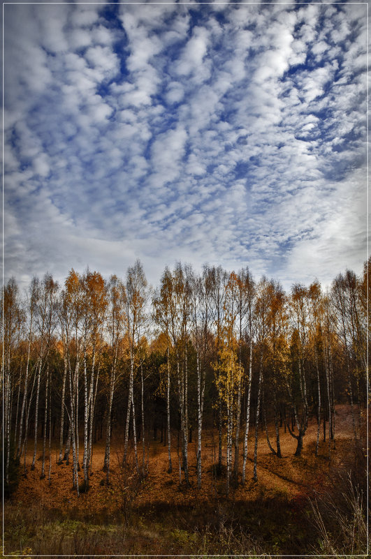 Осень - Владимир Белозеров