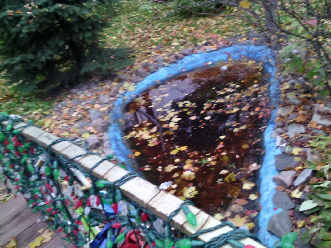 Осенний купаж в парке. - Ольга Кривых