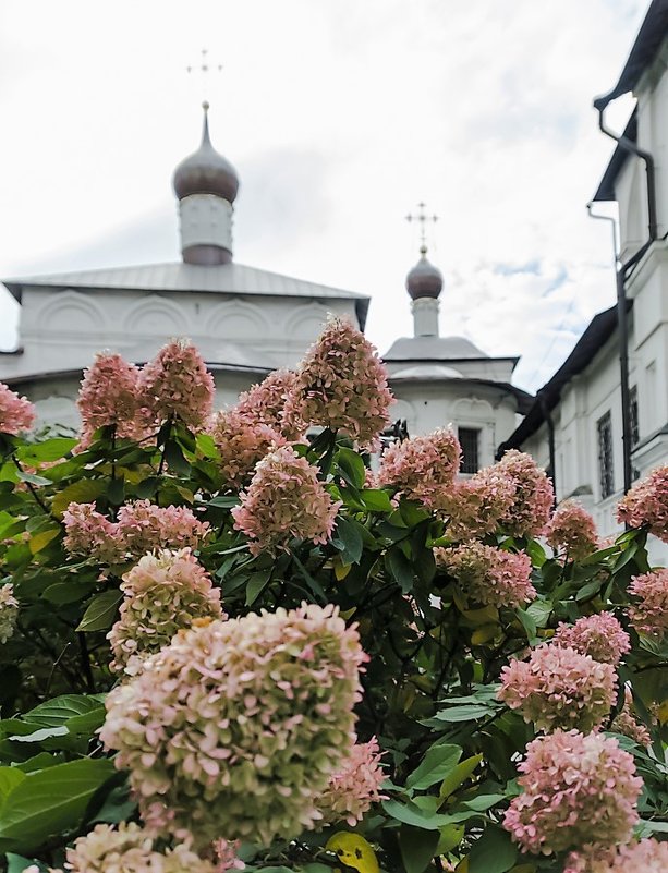 Новоспасский монастырь - Лариса *