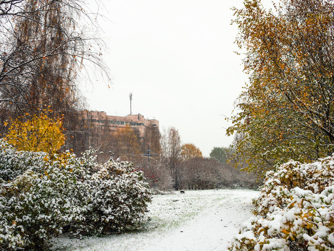 Снег в октябре 9 - Виталий 