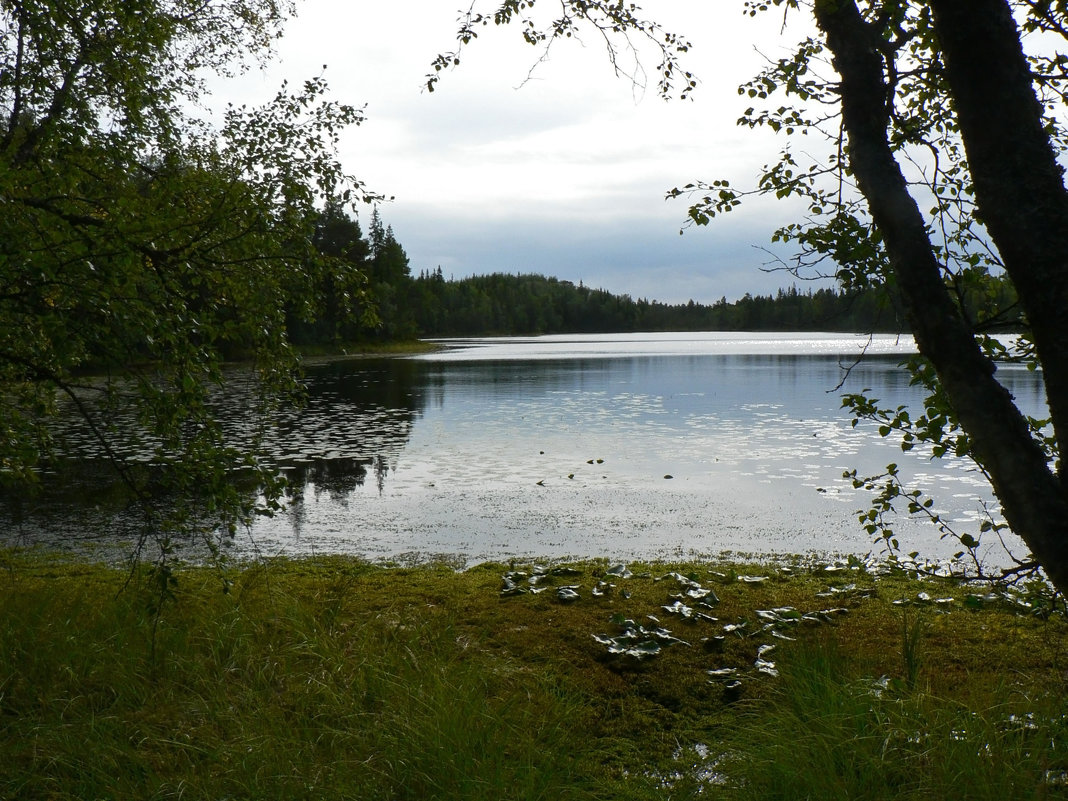 Озеро на острове Анзер - Антонина Петлевская