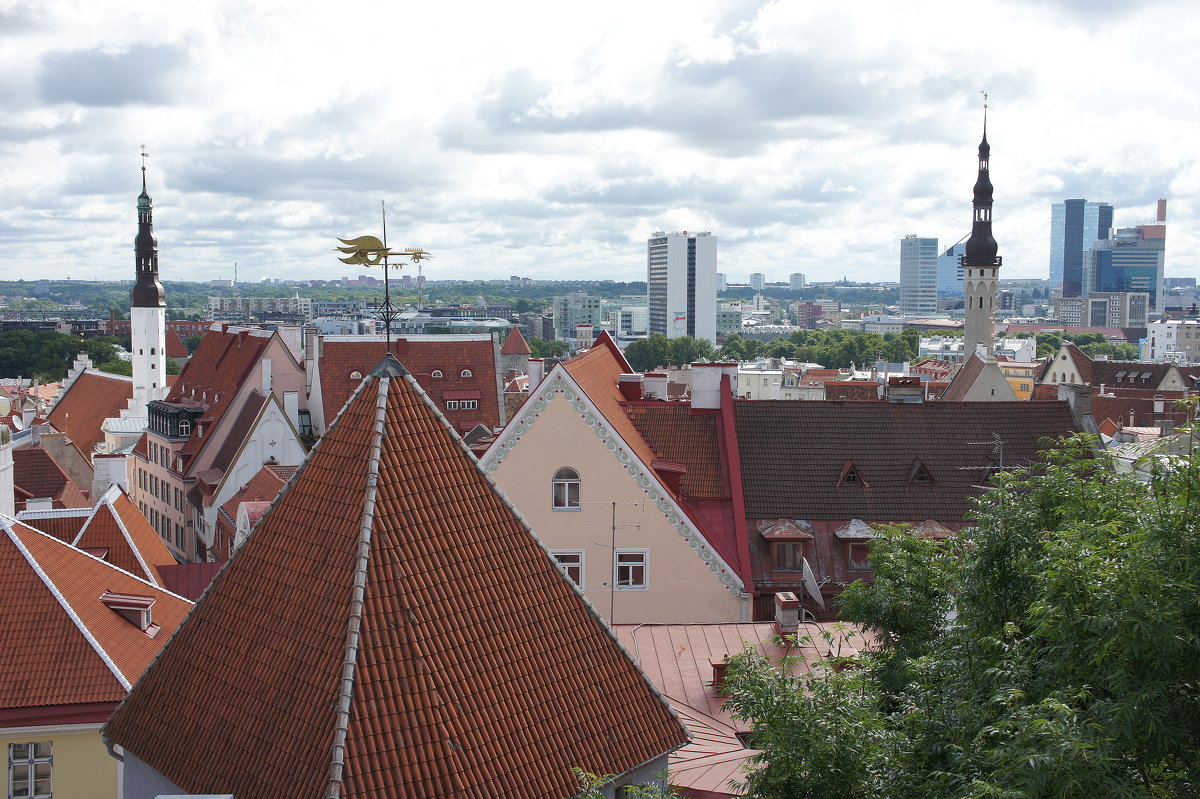 Панорама города, вид с одной из смотровых площадок - Елена Павлова (Смолова)