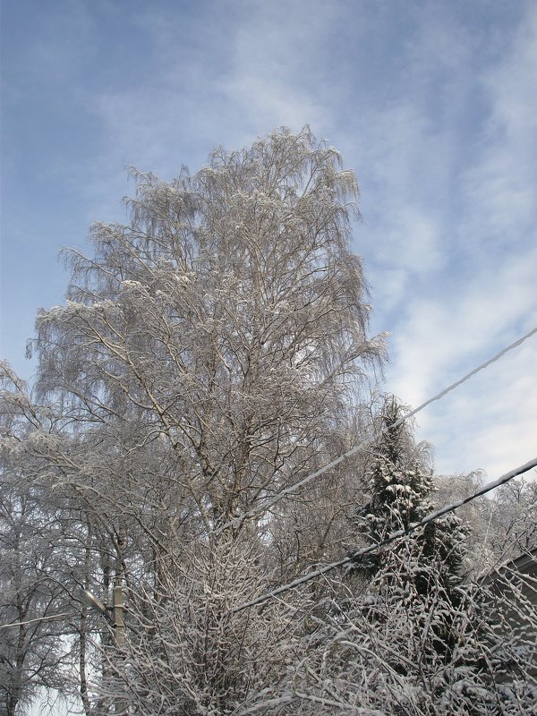Первый снег - Liubov Garkusha