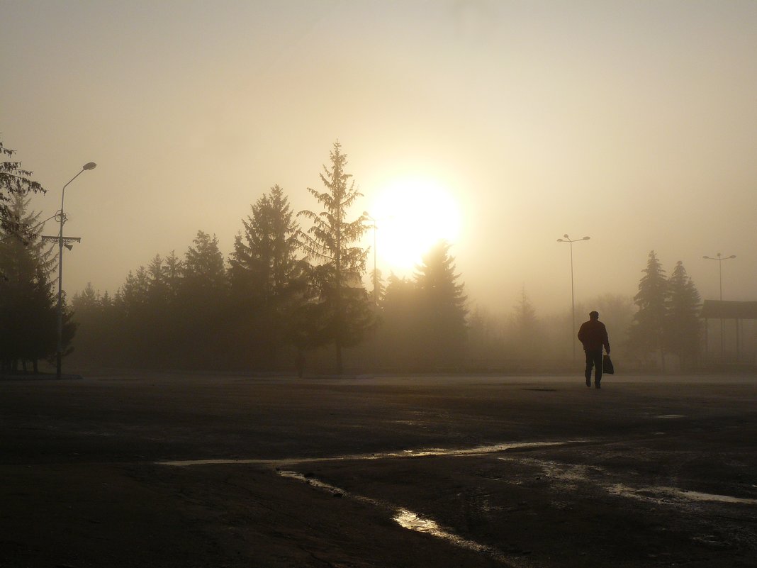 Утро туманное - Андрей Заломленков