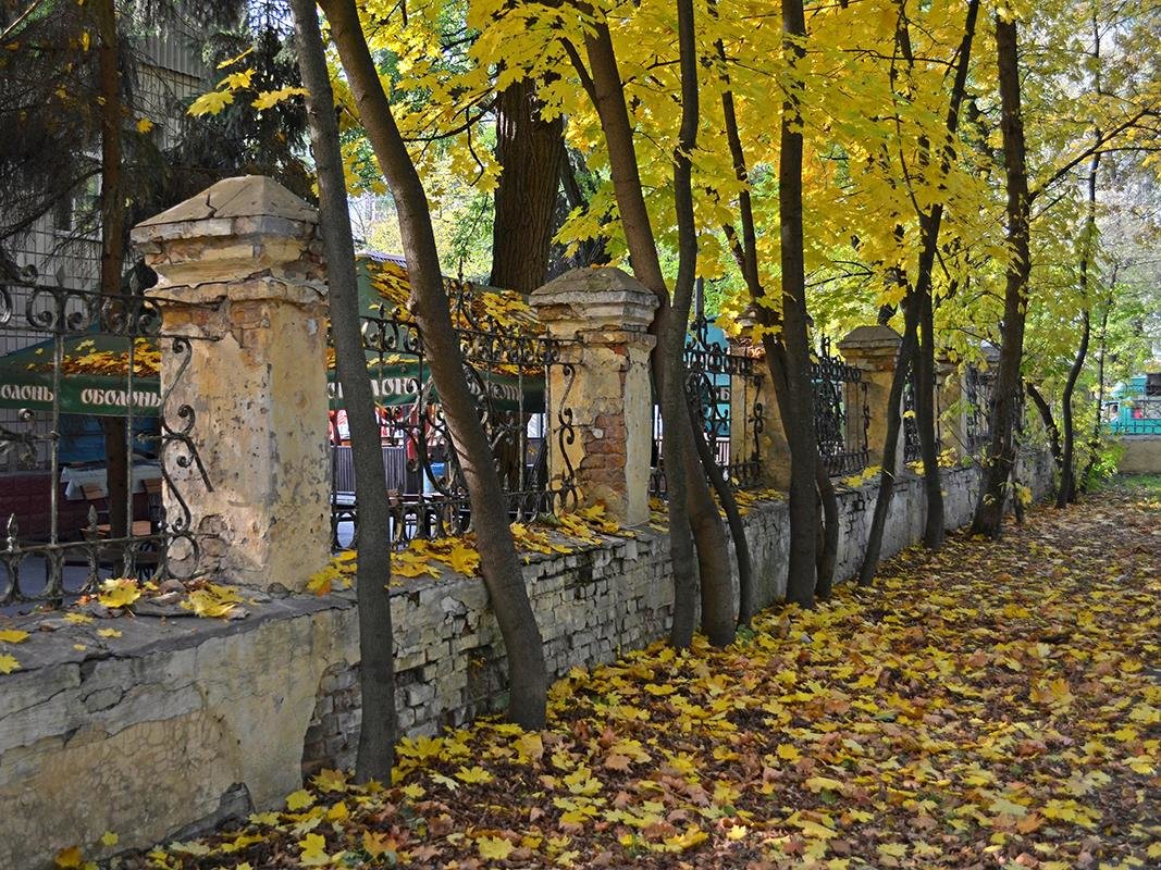 Осенняя позолота - Сергей Тарабара