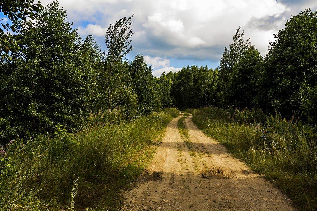 Дорога в лес - Александр 