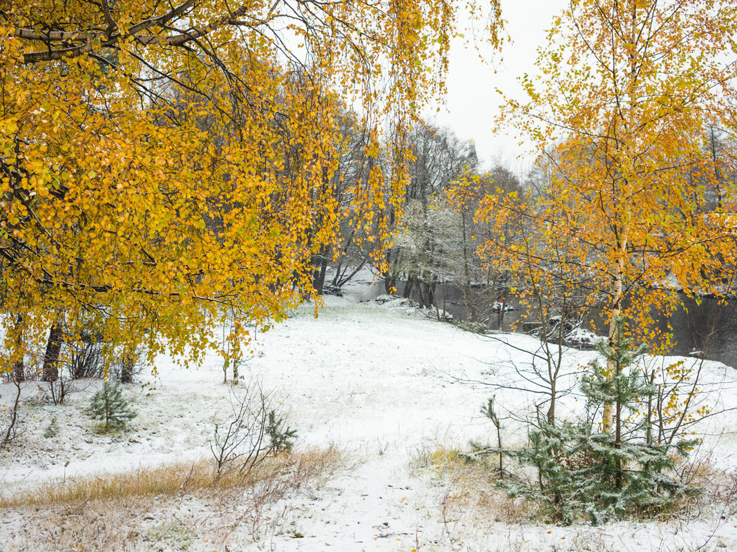 Снег в октябре 18 - Виталий 