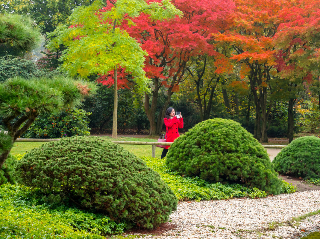 Nordpark, Düsseldorf, Oktober - Witalij Loewin