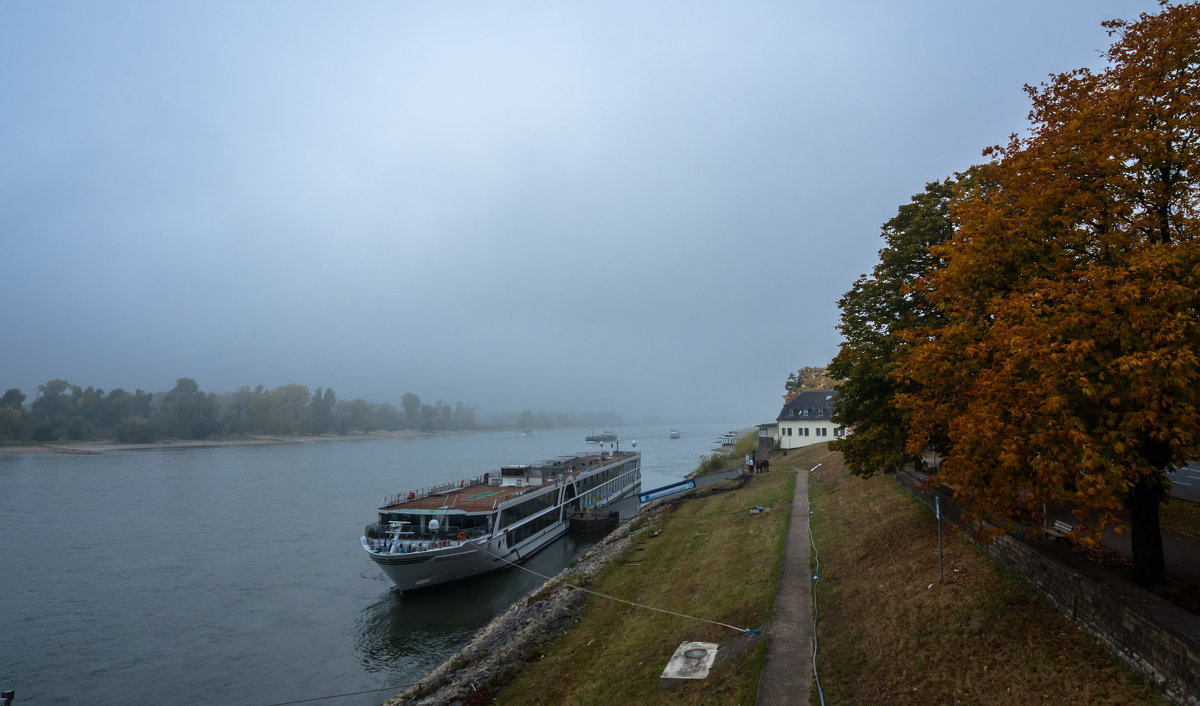 Туман над Рейном, Дюссельдорф - Witalij Loewin