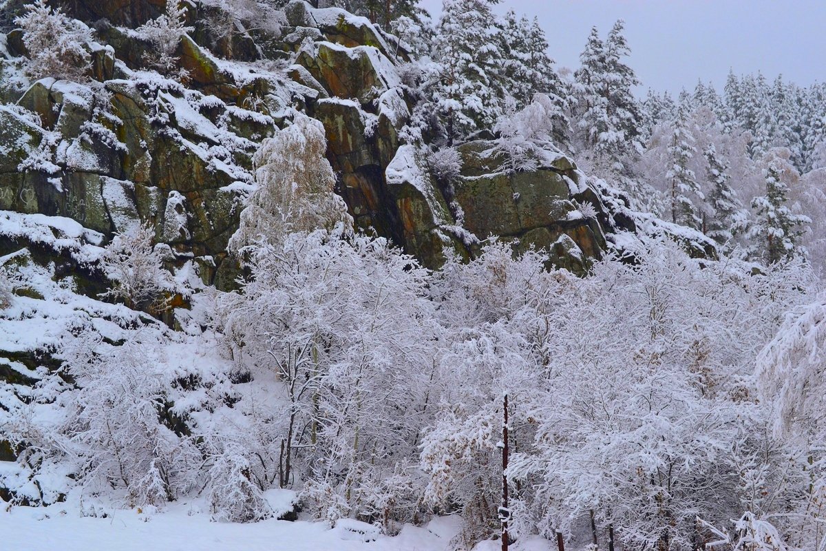 Снег, горы, лес - Tatiana Lesnykh Лесных