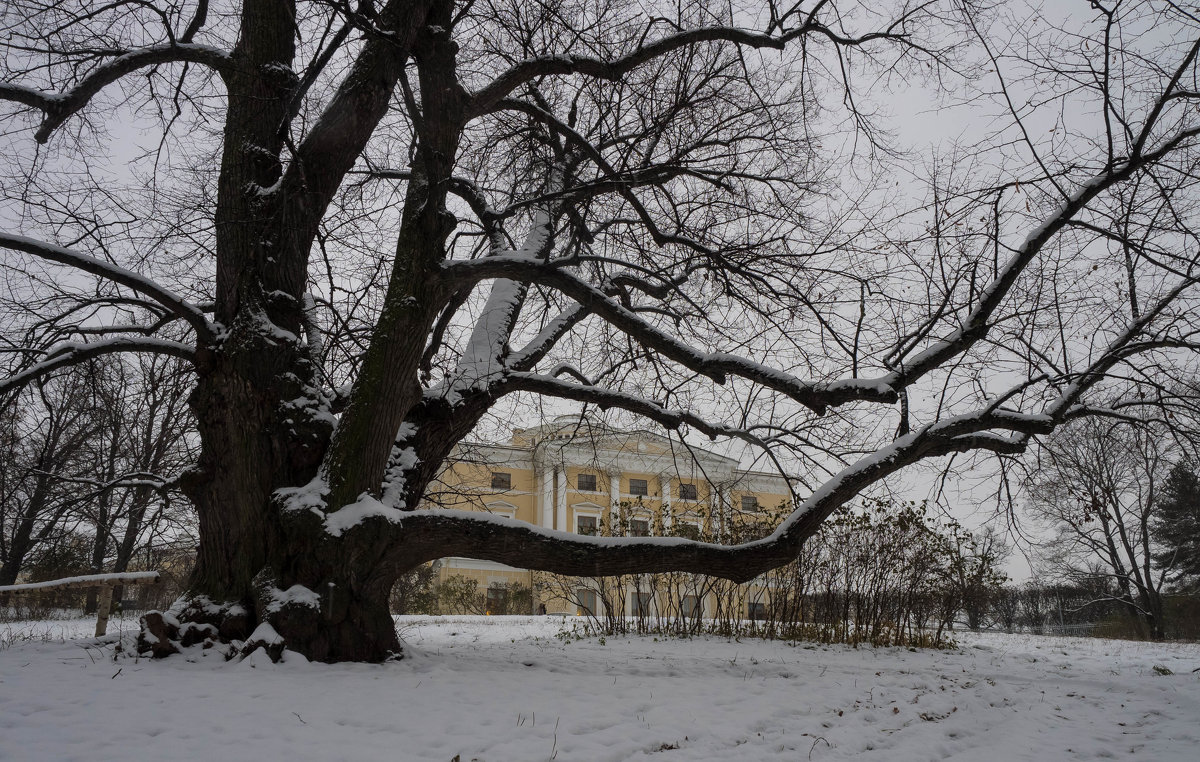 Первый снег в Павловском парке, дворец - Vadim Odintsov