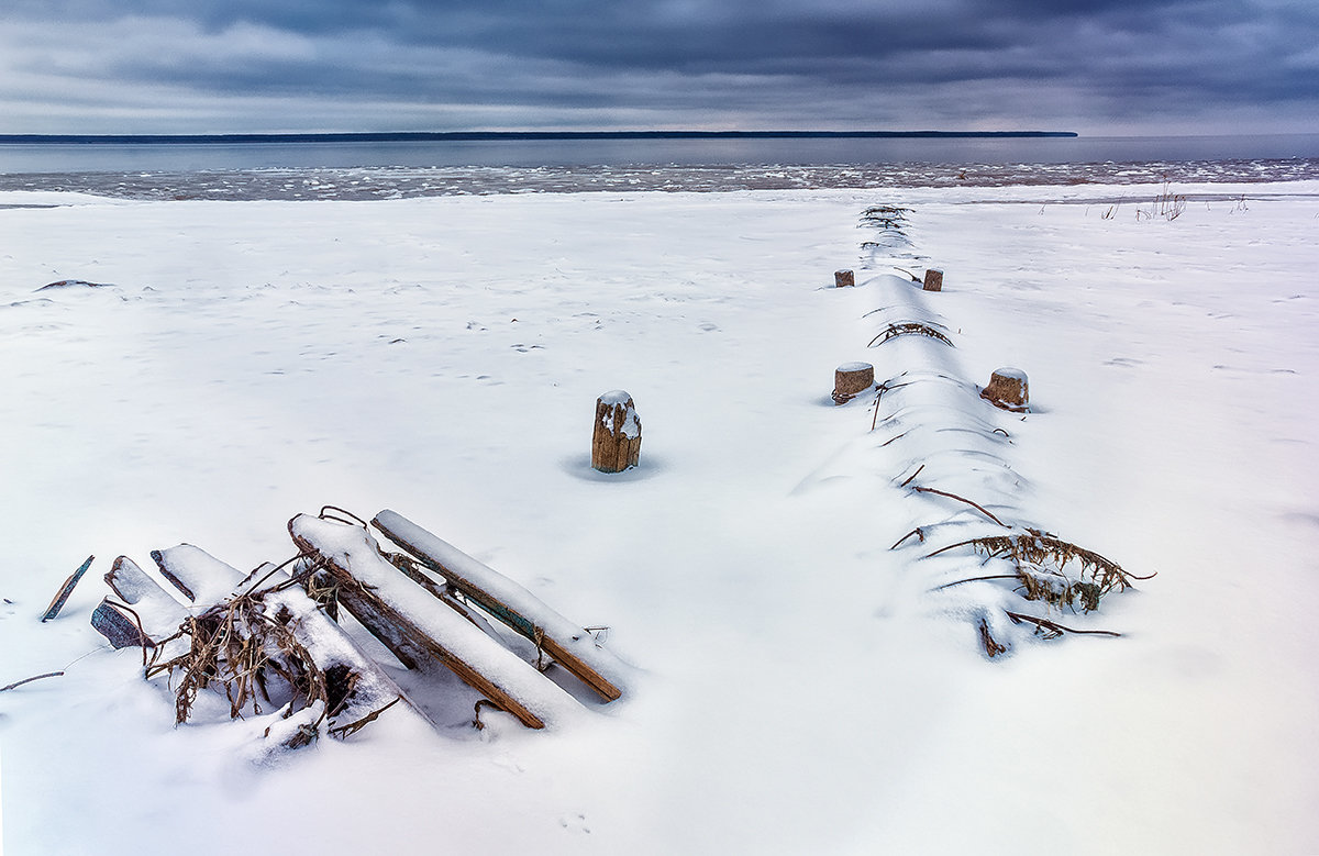 На холодных берегах - Алексей Дмитриев