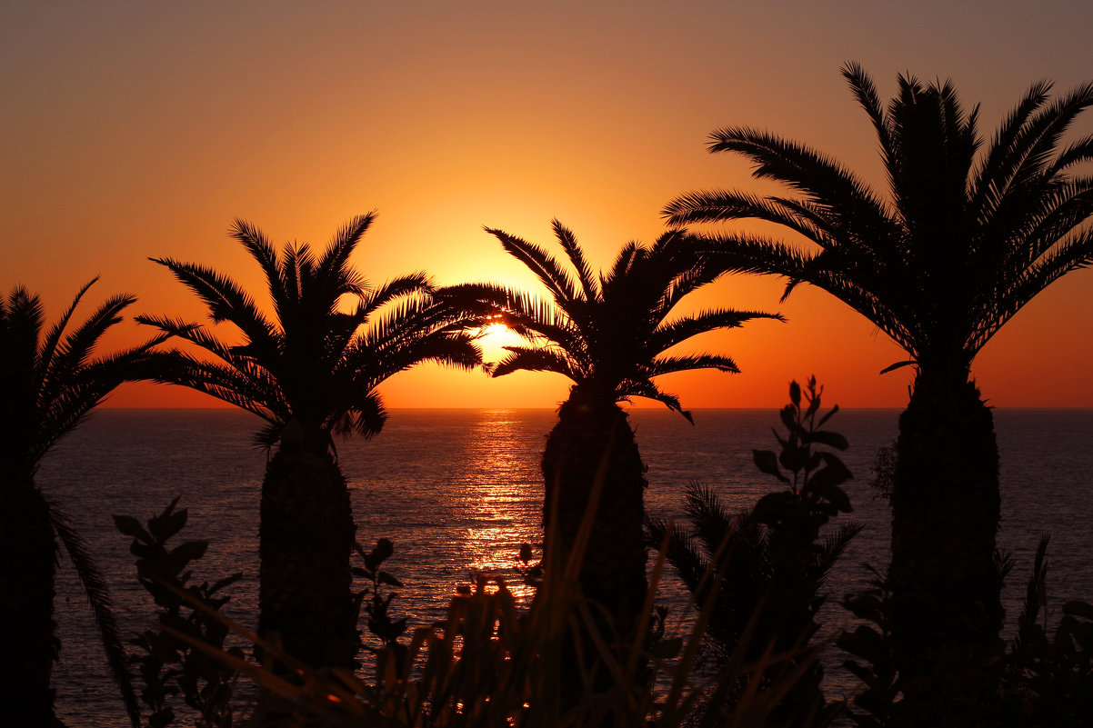 Закат на Кипре - Елена Елена