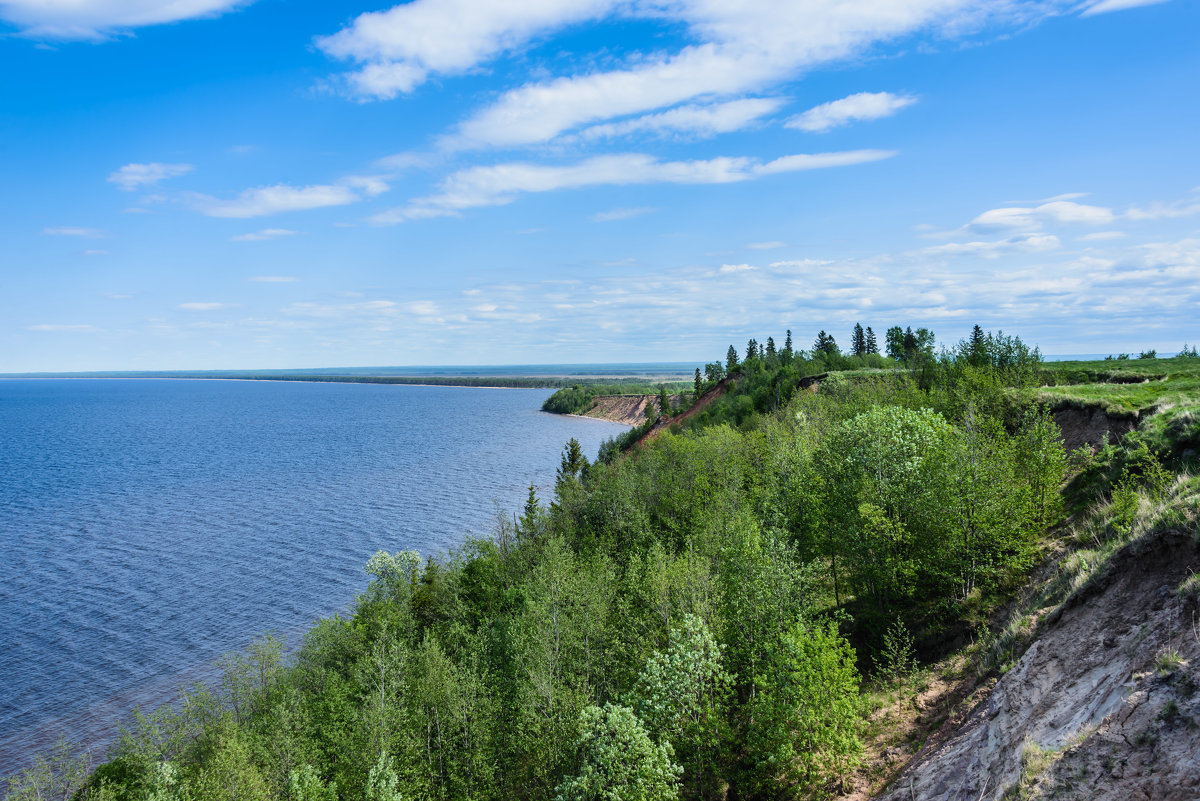 *** - Александр Хаецкий