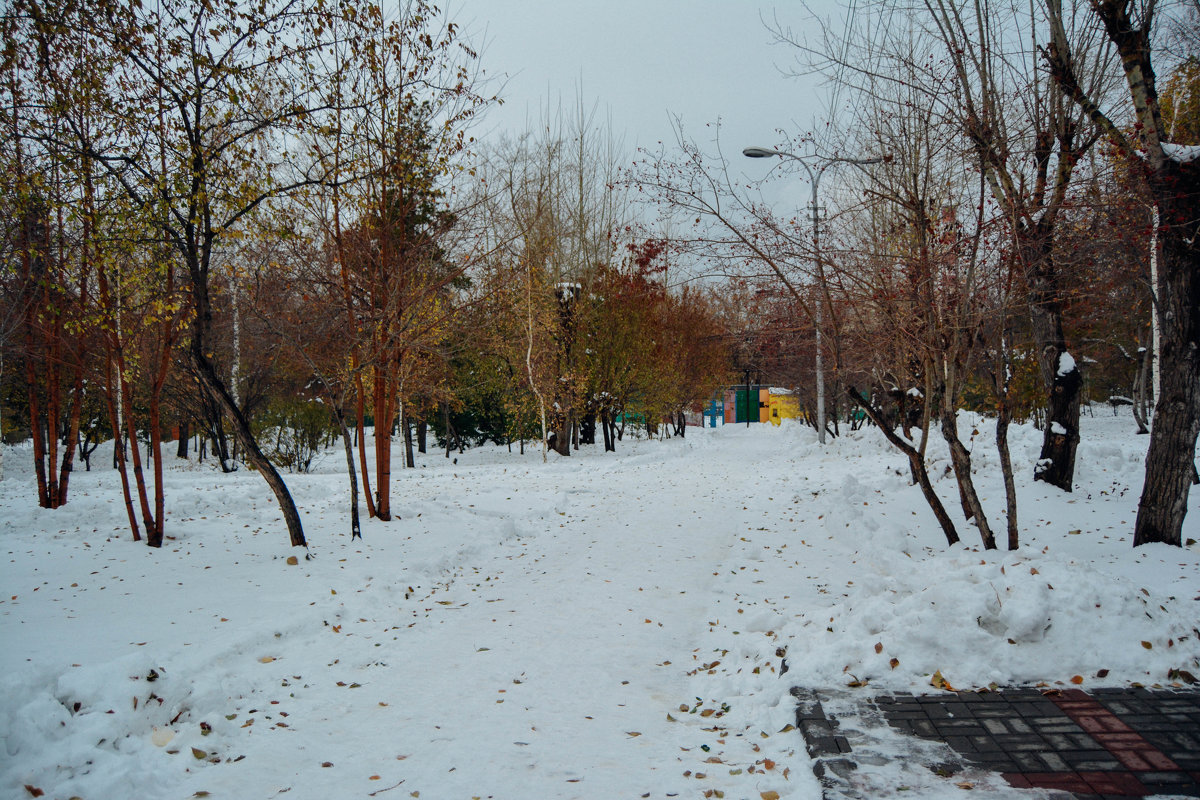 Зимний парк - Света Кондрашова