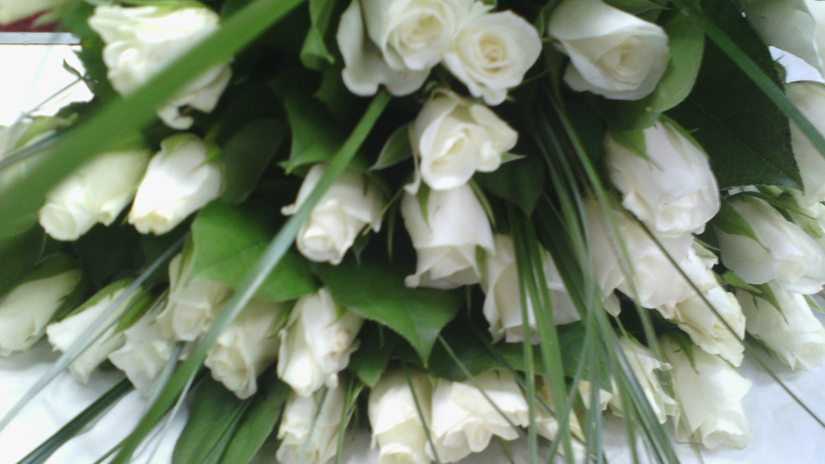 Белые розы... - марина ковшова 