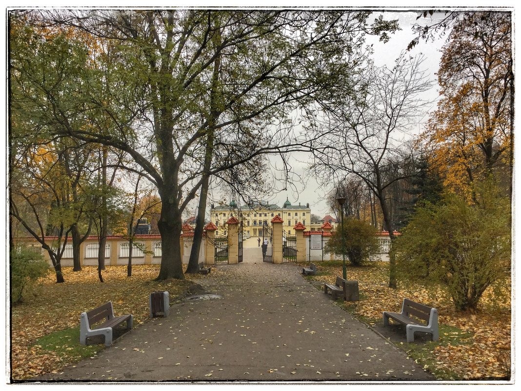 Парк около дворца Браницких - Николай Милоградский