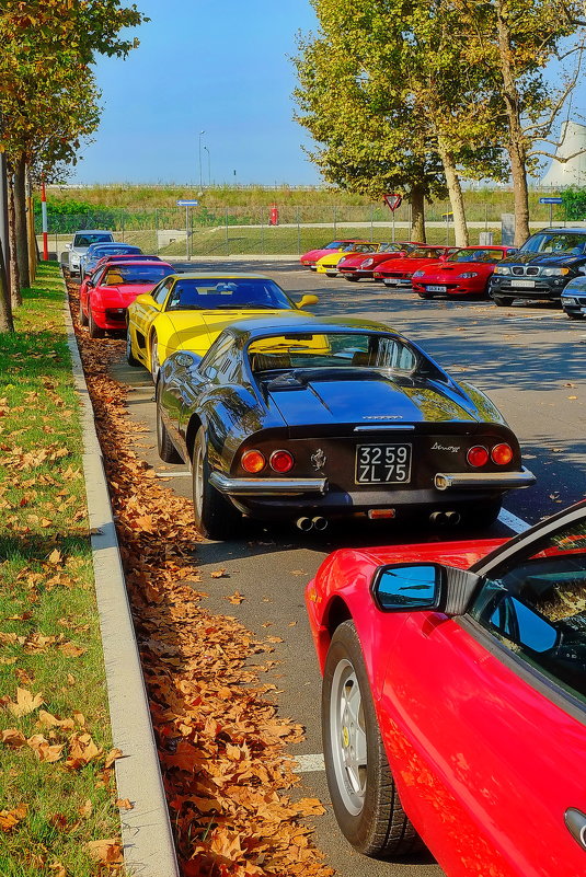 Цветные Ferrari и цветные листья - M Marikfoto