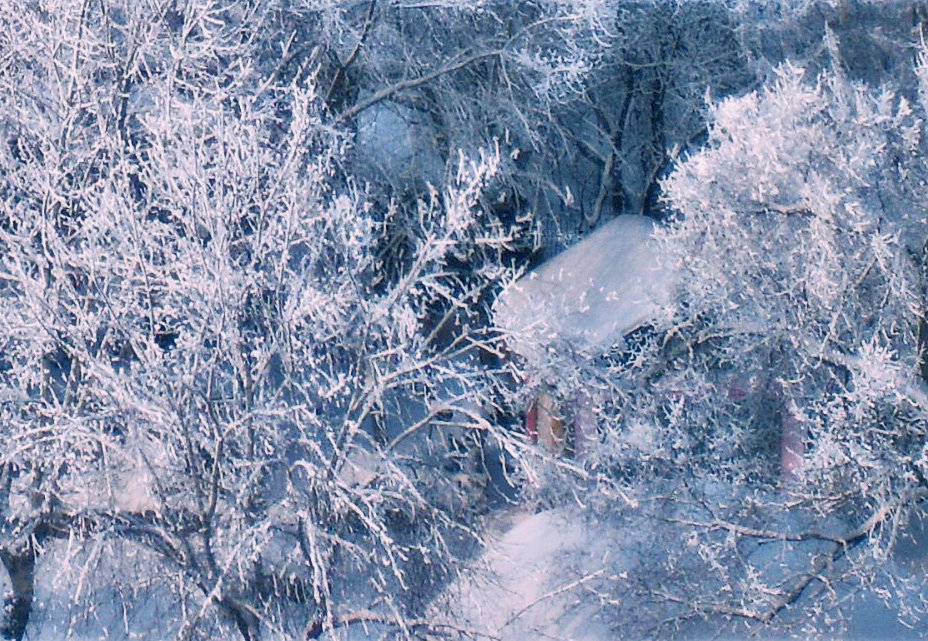Зимняя сказка для маленького заснеженного домика - Екатерина Торганская