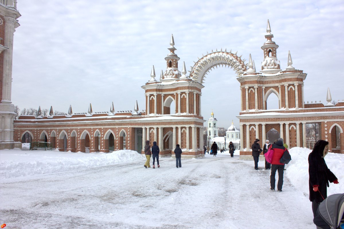 Усадьба Царицыно зима