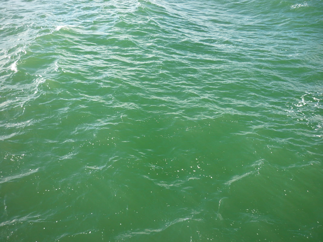 зеленое Балтийское море - Oxi --