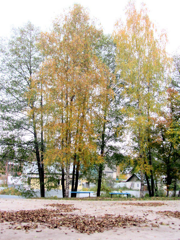 Осень - Герович Лилия 