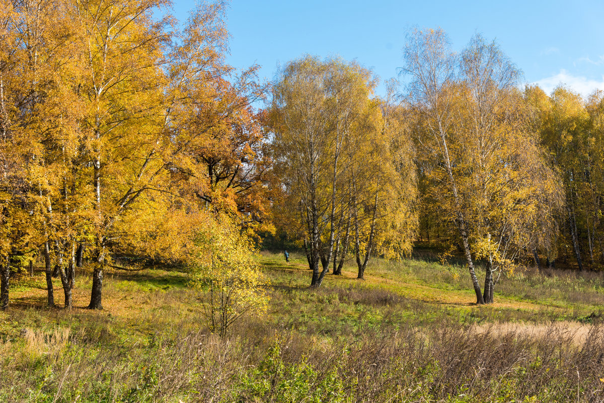 Осень в парках Москвы - Владимир Безбородов
